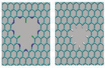 Fig.2. Functionalization of graphene nanopores, (a) F-N functionalization, (b) hydrogen functionalization