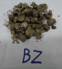Rys. 4
Biomasa zielna
(BZ)
Fig. 4 Herbaceous
biomass