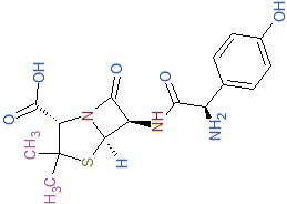 Fig. 5. Amoxycyllin